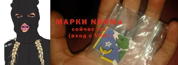 твердый Инта