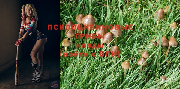 прущий лед Каменногорск