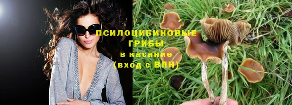 каннабис Каменск-Шахтинский