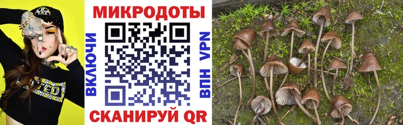 Галлюциногенные грибы мицелий  Козельск 